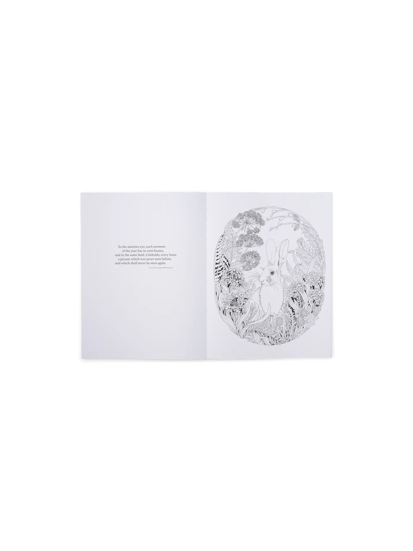 Discount Søstrene Grene Schweiz Beautiful Planet Malbuch Fern Green