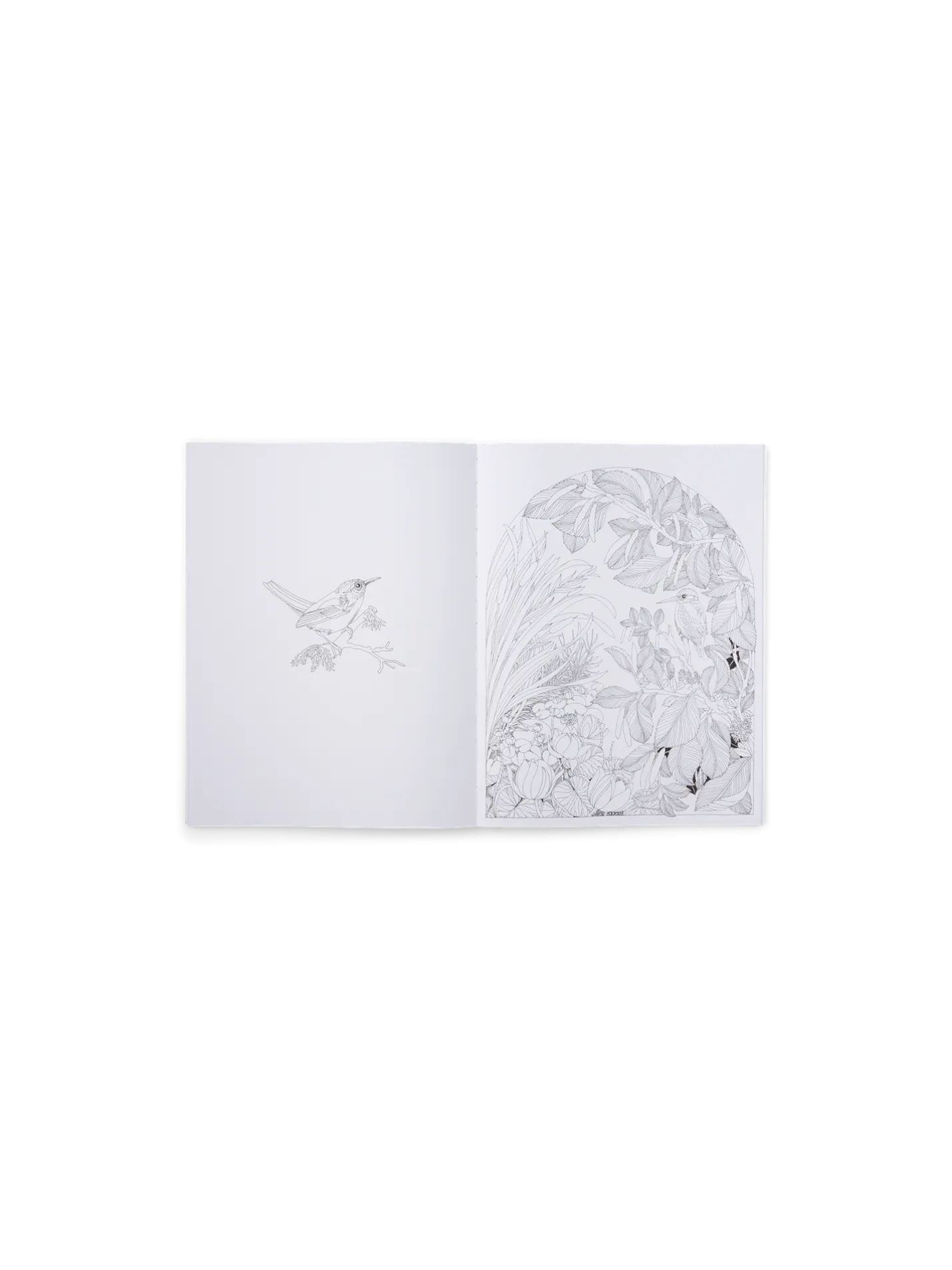 Discount Søstrene Grene Schweiz Beautiful Planet Malbuch Fern Green
