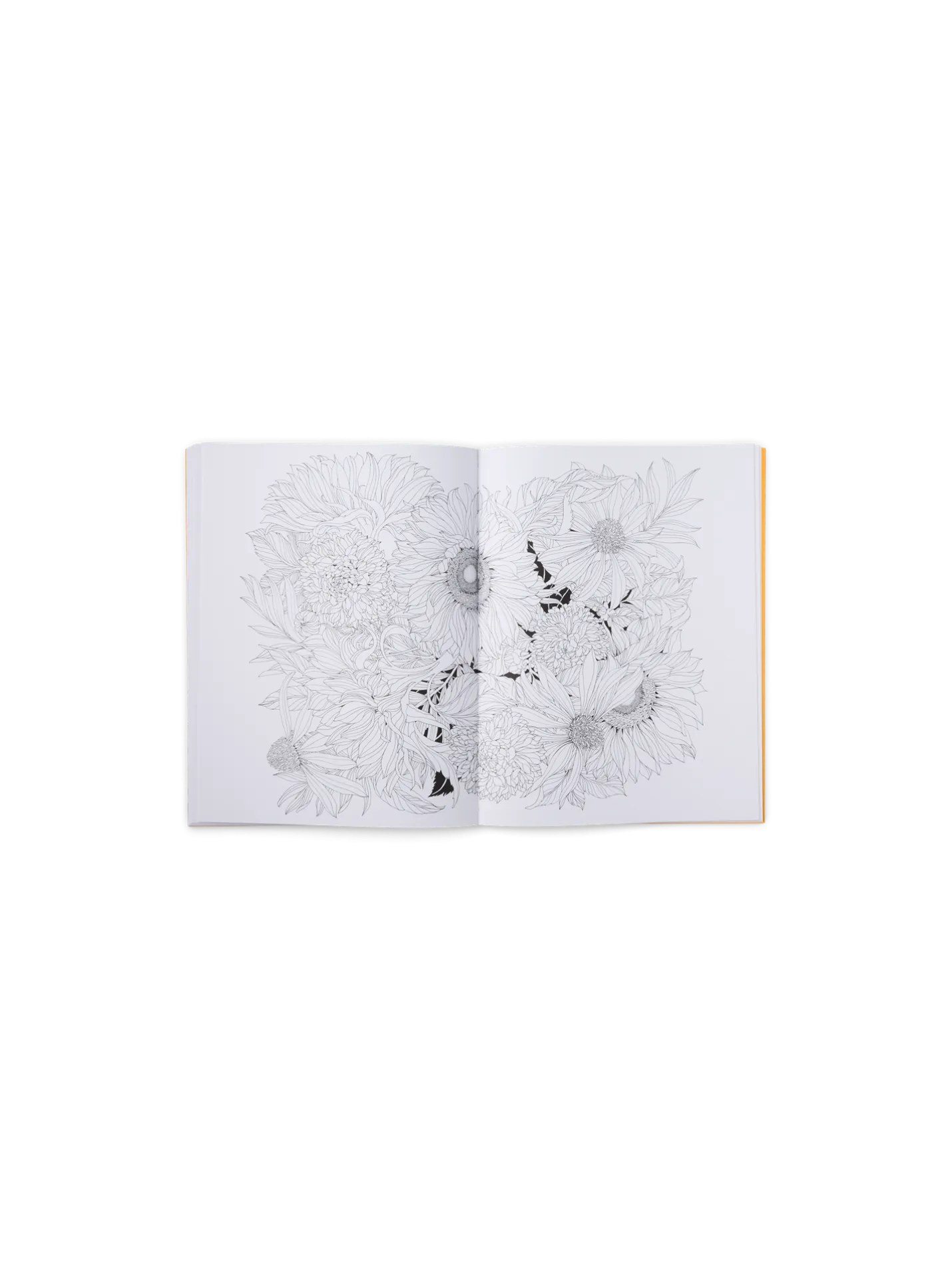 Sale Søstrene Grene Schweiz Beautiful Planet Malbuch Yellow