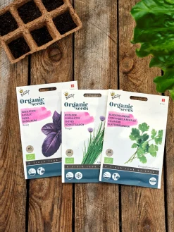 Hot Søstrene Grene Schweiz Buzzy® Bio-Koriander Multi