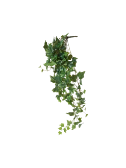 Sale Søstrene Grene Schweiz Künstlicher Efeu Moss Green