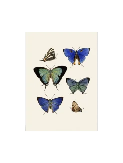 Sale Søstrene Grene Schweiz Poster A3 Multi
