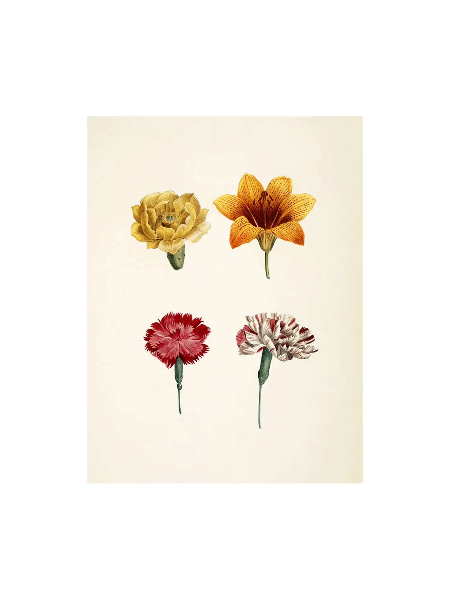 Discount Søstrene Grene Schweiz Poster A3 Multi