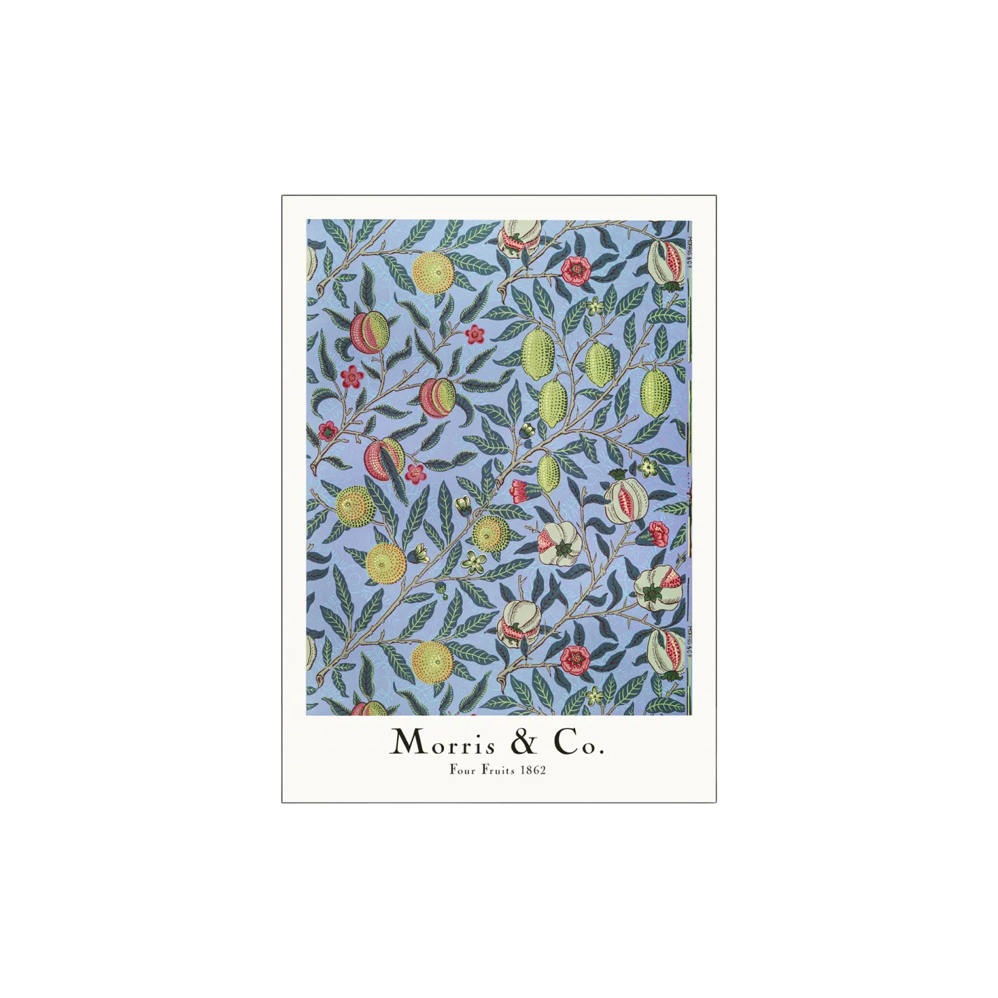 New Søstrene Grene Schweiz Poster Four Fruits 50 X 70 Misty Blue