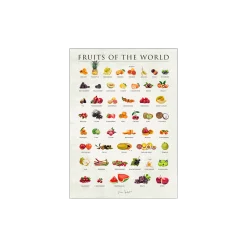 Søstrene Grene Schweiz Poster Fruits Of The World 50 X 70 Multi