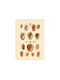 Outlet Søstrene Grene Schweiz Poster 15 X 21 Multi