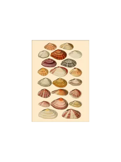 Hot Søstrene Grene Schweiz Poster 15 X 21 Multi