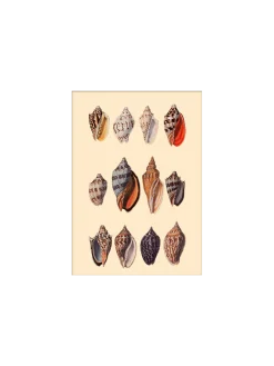 Sale Søstrene Grene Schweiz Poster 15 X 21 Multi