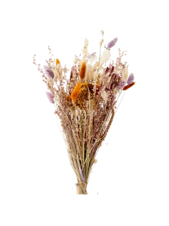 Clearance Søstrene Grene Schweiz Trockenblumen Flora Klein Multi