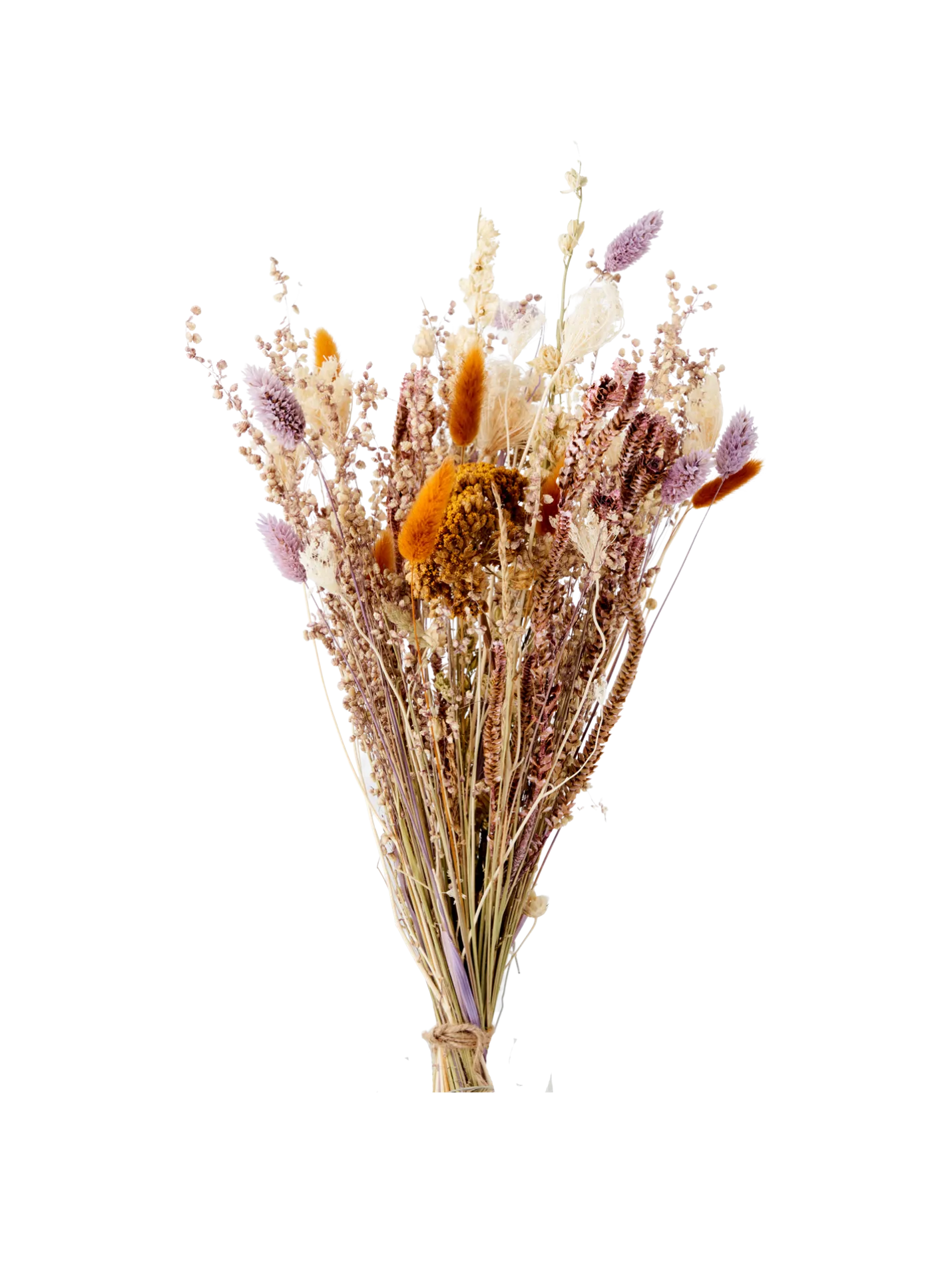 Clearance Søstrene Grene Schweiz Trockenblumen Flora Klein Multi