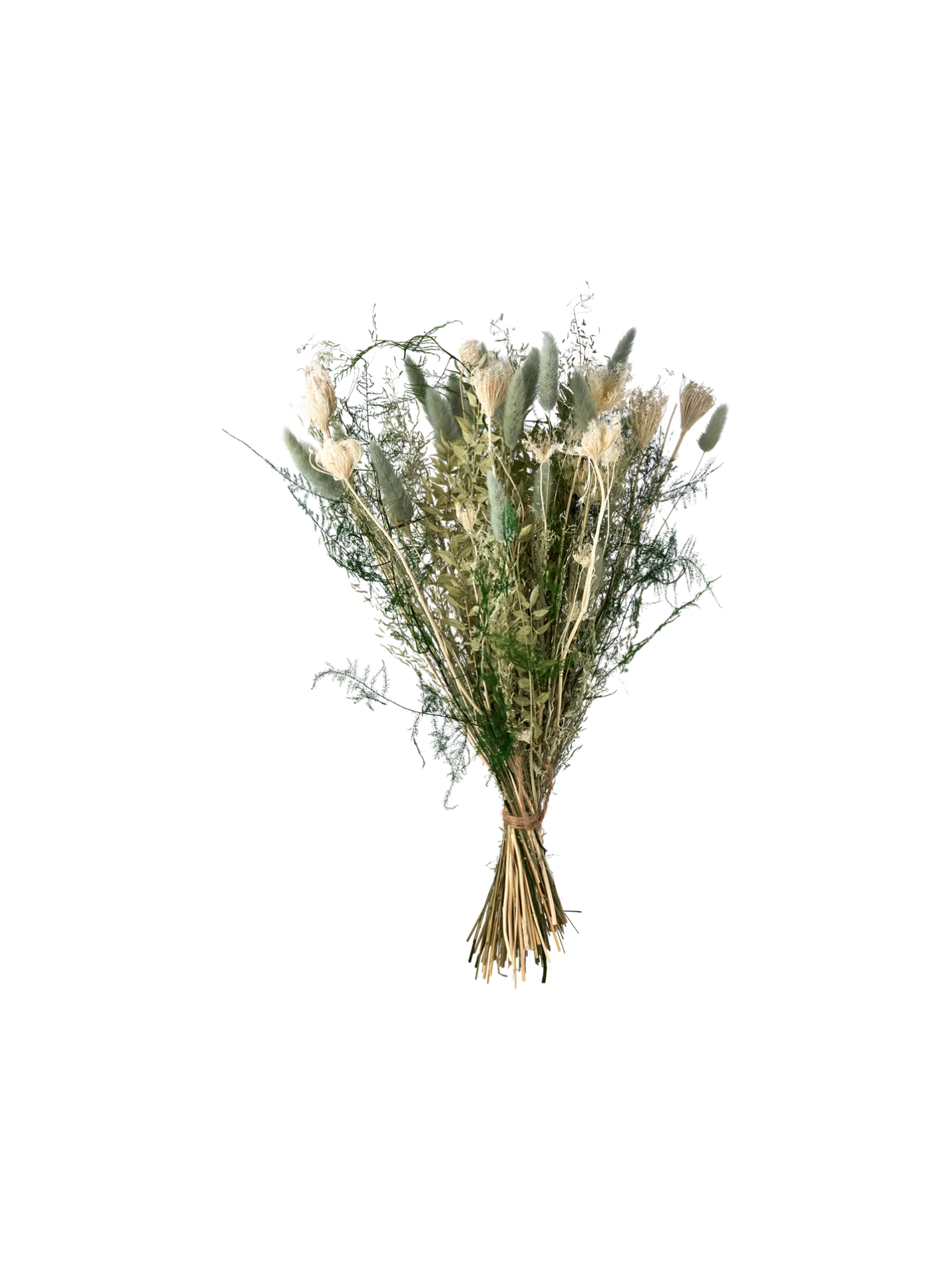 Outlet Søstrene Grene Schweiz Trockenblumen Iceberg Klein Sage Green