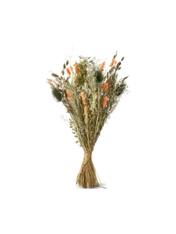 New Søstrene Grene Schweiz Trockenblumen Orange Medium Burned Orange