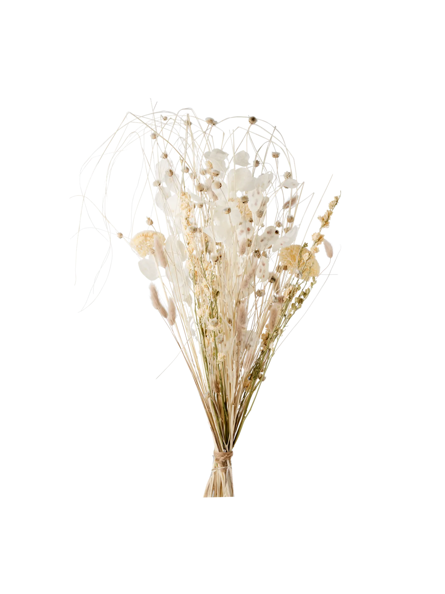 Best Søstrene Grene Schweiz Trockenblumen Patricia Medium Multi