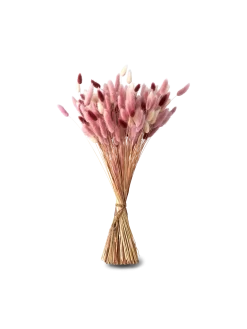 Søstrene Grene Schweiz Trockenblumen Pudder Medium Cherry Red