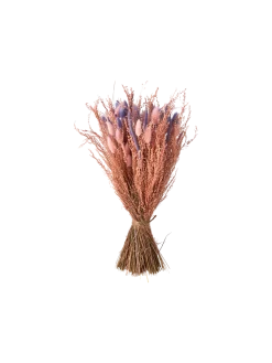 Clearance Søstrene Grene Schweiz Trockenblumen Rosa Klein Cherry Red