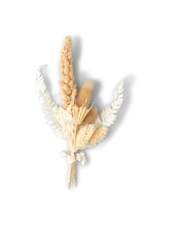 Hot Søstrene Grene Schweiz Trockenblumen Zum Basteln Off White