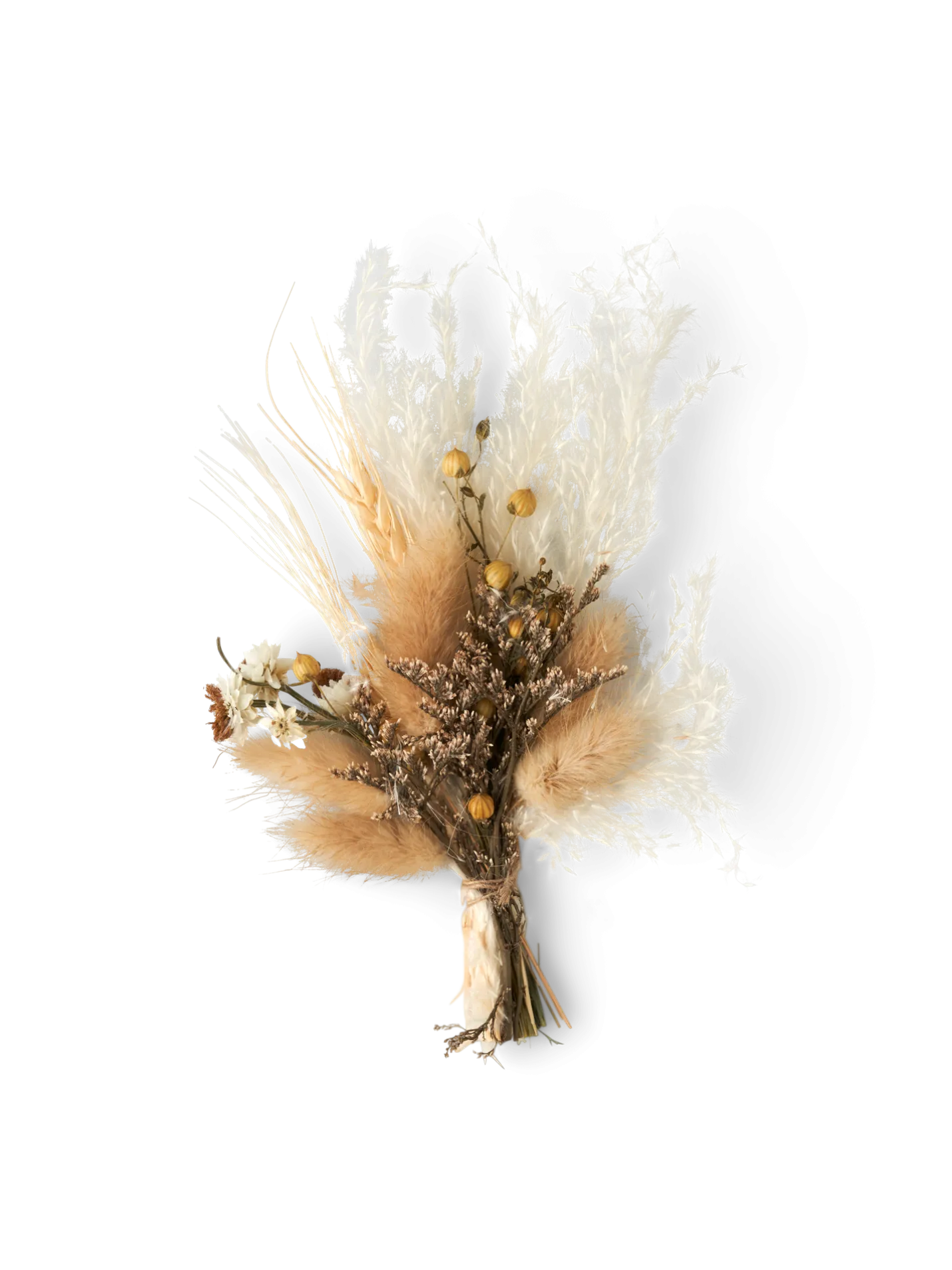 Sale Søstrene Grene Schweiz Trockenblumen Zum Basteln Off White