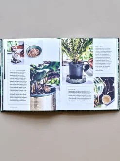 Best Søstrene Grene Schweiz Wild Creations Fern Green